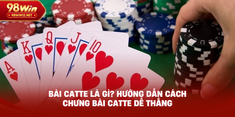 Bài Catte 98win