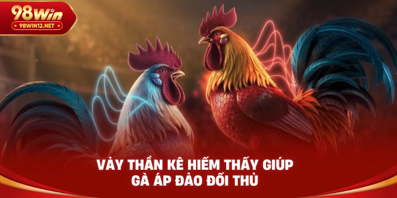 Vảy thần kê hiếm thấy giúp gà áp đảo đối thủ